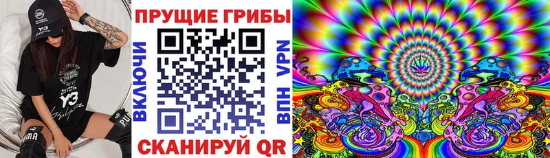 Купить где Инта Галлюциногенные грибы GOLDEN TEACHER