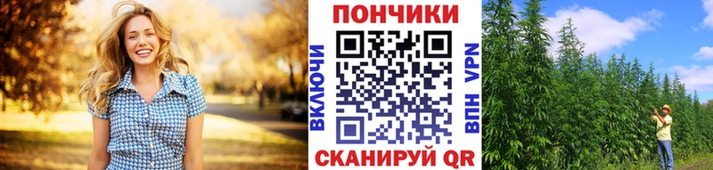 Бошки марихуана White Widow  Купить закладки  Инта 